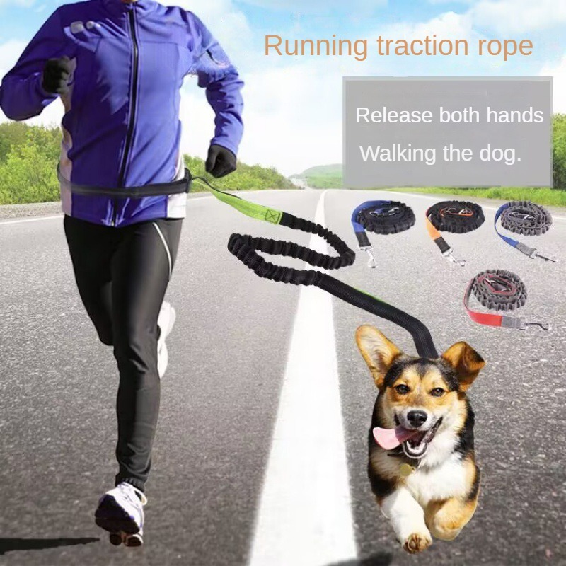 Hand Free Dog Leash for Pet Wa - Running Jogging Gear avis et prix